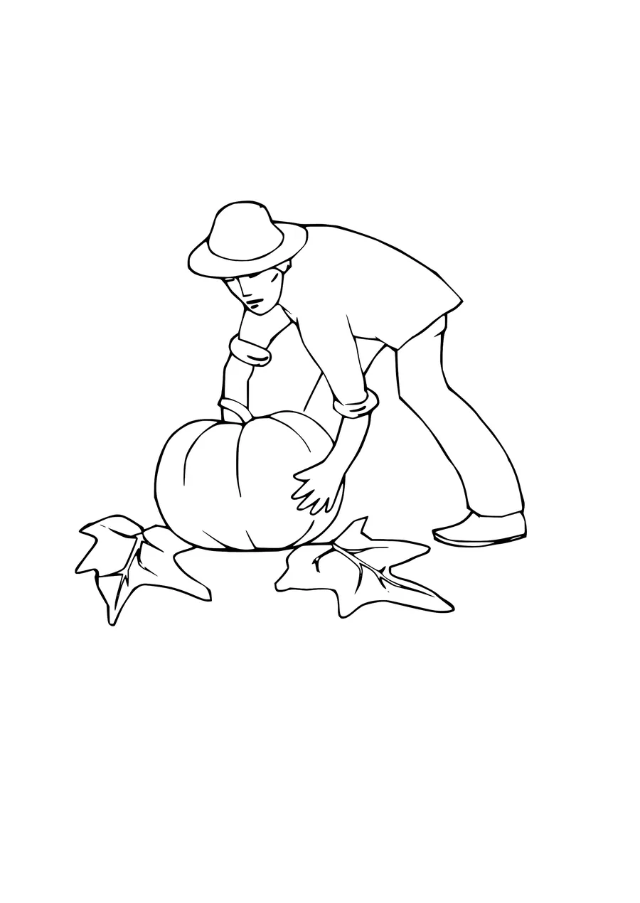 Farmer harvesting pumpkin for halloween
